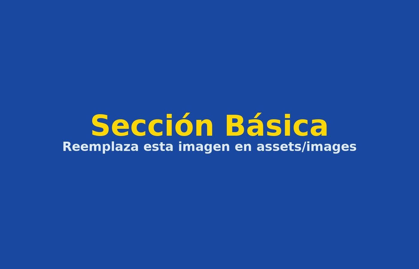 Sección Básica